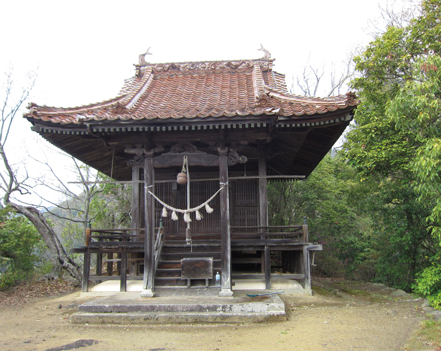 ⭐︎Moriko⭐︎様　大玉　６キロ　徳島神山産　青梅 徳島神山産 青梅 1キロの通販 by Happy｜ラクマ