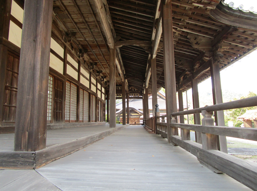 光照寺 びんなび
