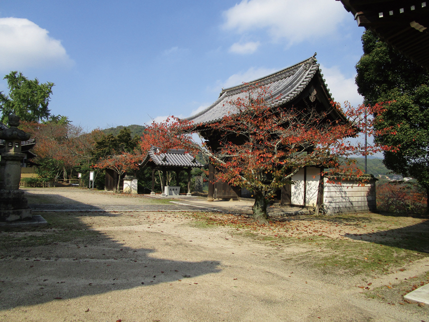 光照寺 びんなび
