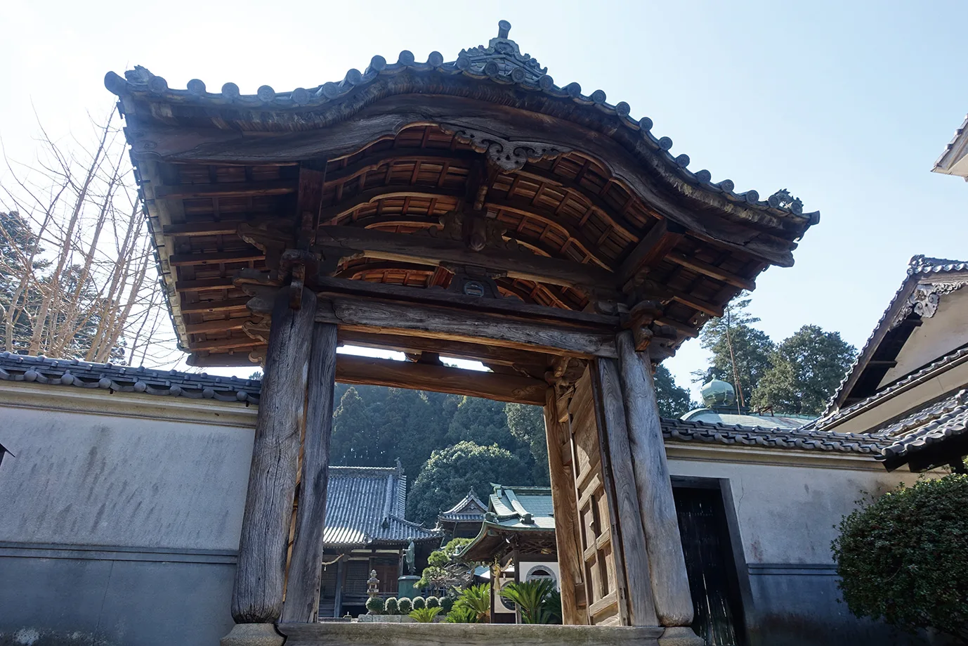 廣昌山 定親院 常國寺 | びんなび