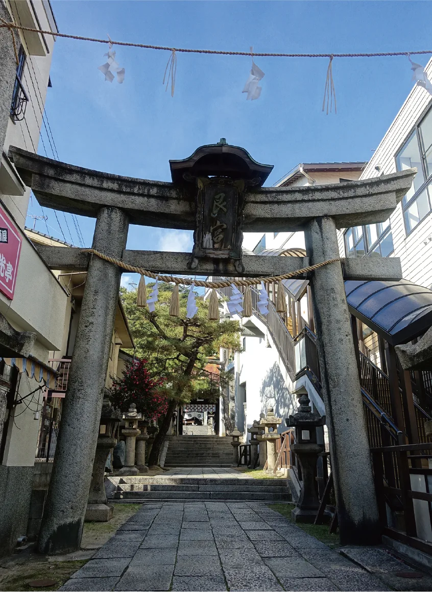 尾道　艮神社の御神木　フクロウ 広島県尾道市 艮（うしとら）神社のクスノキ | with photograph