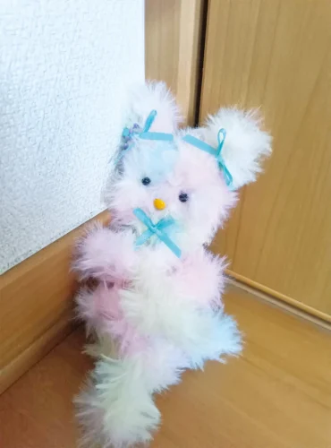 ゆきのちゃん（9歳）