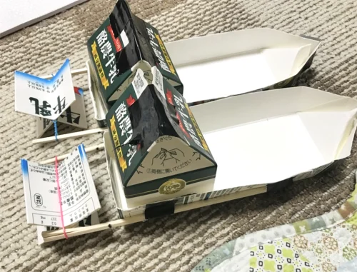 ドルフィン兄弟くん（10歳）